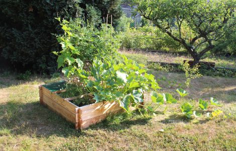 carre potager