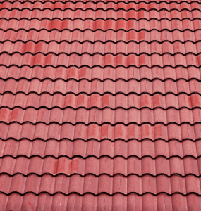 pourquoi toiture devient verte comment remedier